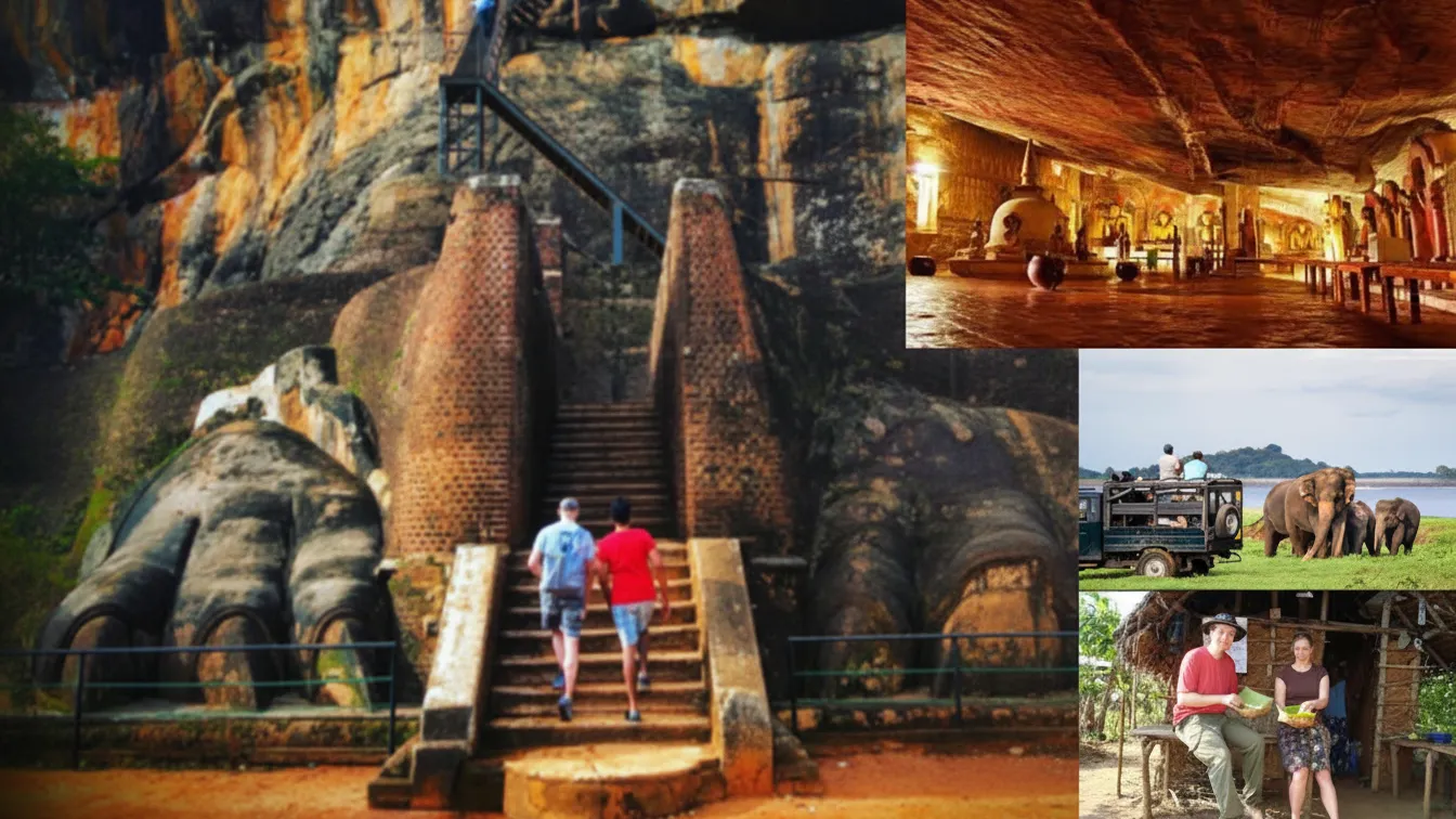 Collage image showing Sigiriya Rock Fortress, Dambulla Temple, a wild elephant safari, and a traditional Sri Lankan village scene with fields and local life, promoting a combined cultural, wildlife, and village tour.