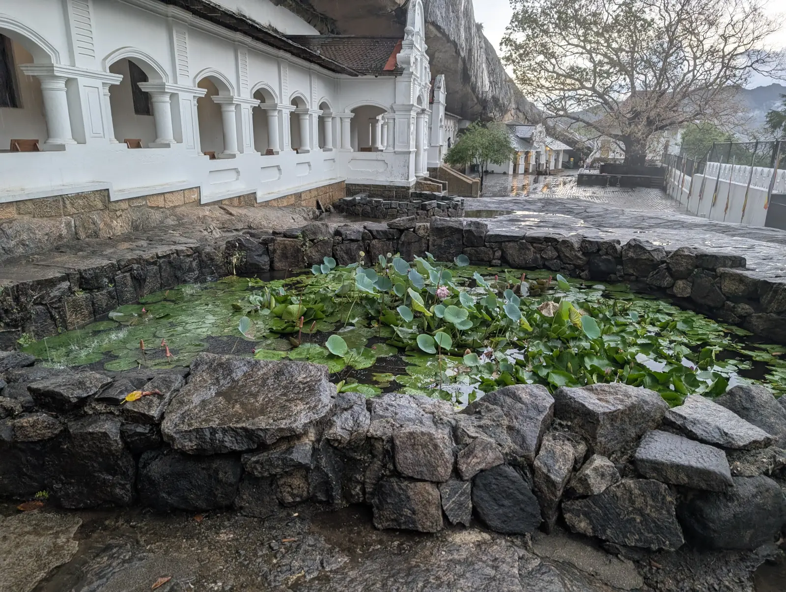 Colombo to Sigiriya: The Real Distance, the Real Hours, and the Stops Worth Making 5 White colonnade and lotus pond at the entrance to Dambulla Golden Temple, Sri Lanka