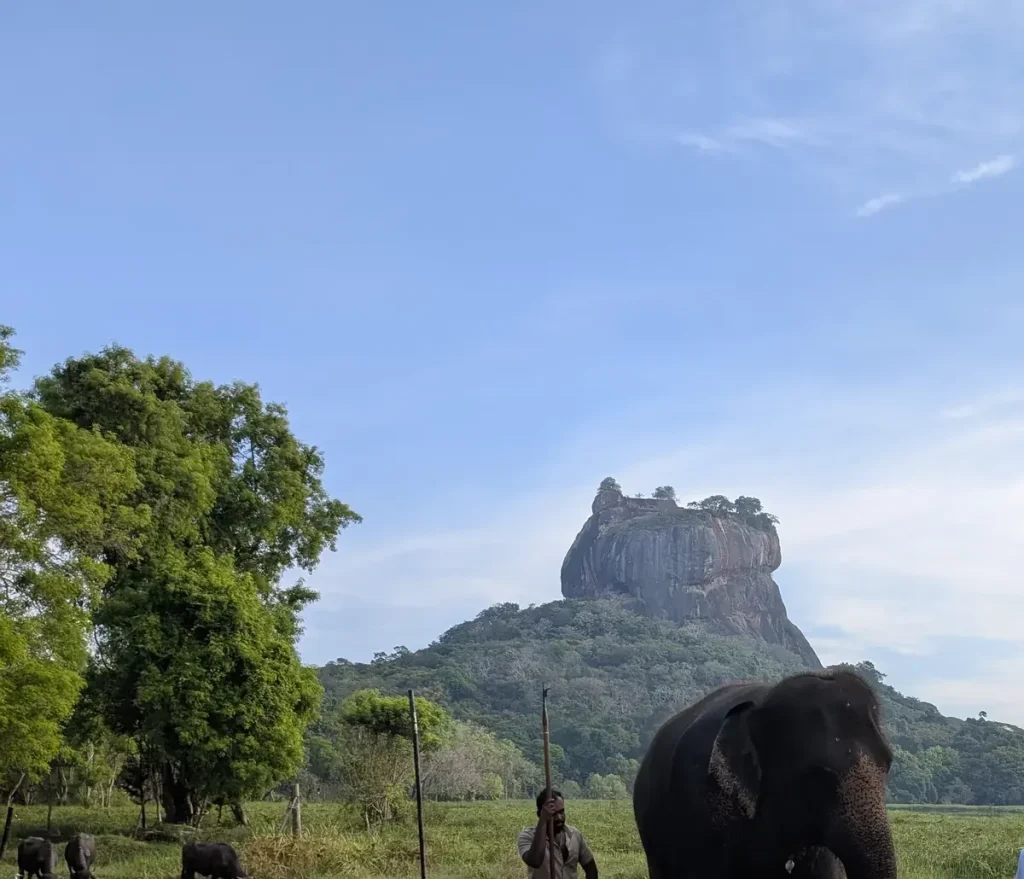 Sigiriya rock fortress rising above the dry-zone plain near Sigiriya, Sri Lanka, with a working elephant and its mahout in the foreground